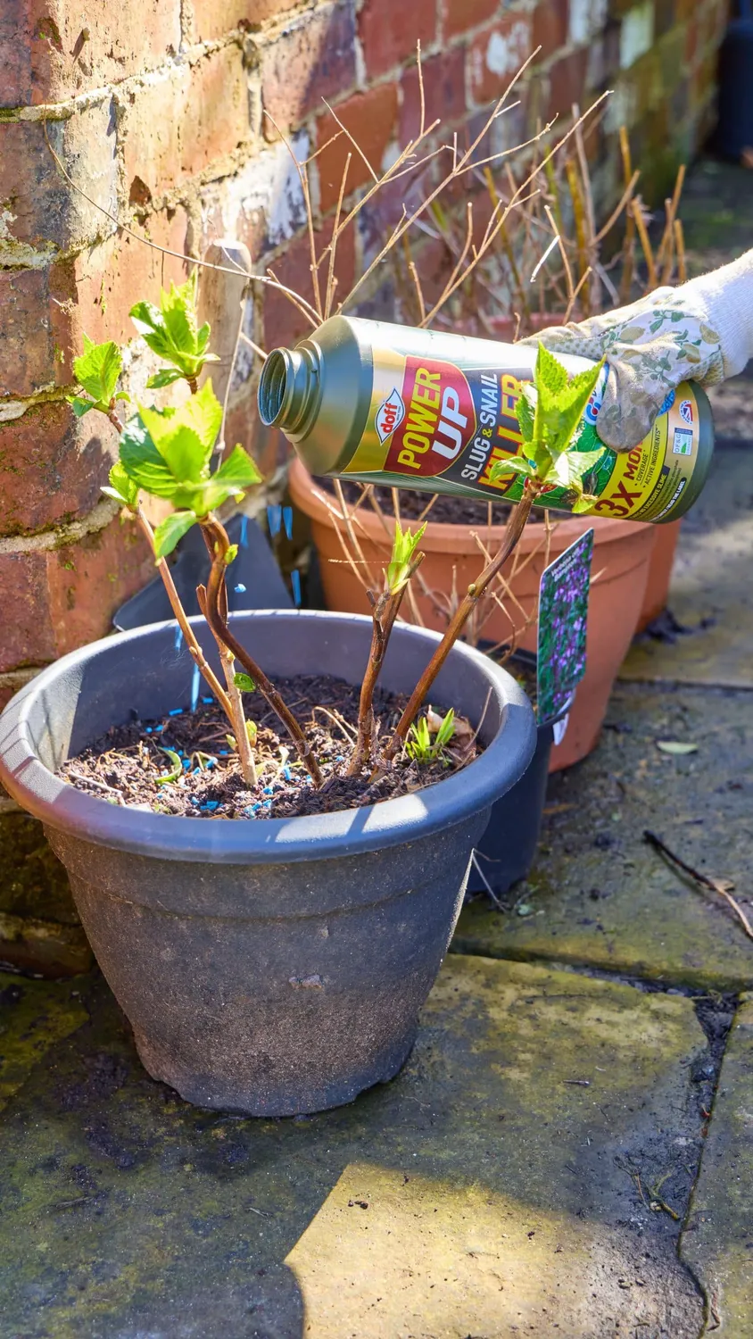 Power Up Slug & Snail Pellets snigelpellets järnfosfat