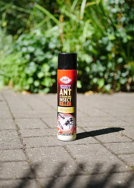 Doff Ant & Insect insektsspray permetrin