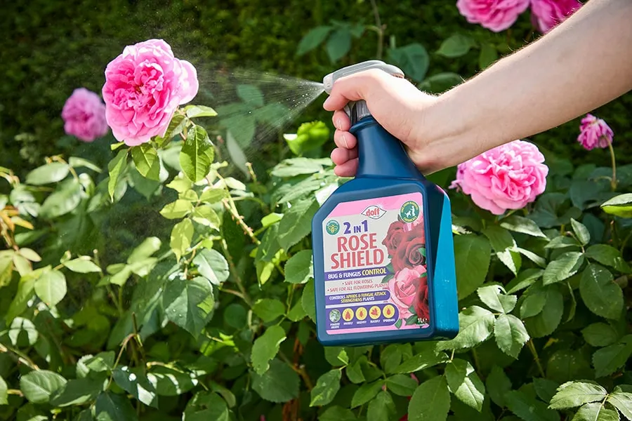 Doff 2in1 rosspray mot ohyra