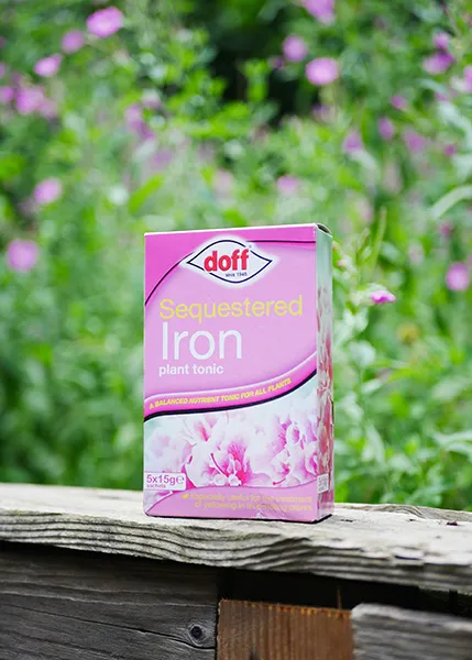 Doff Sequestered Iron järnnäring mot gula blad