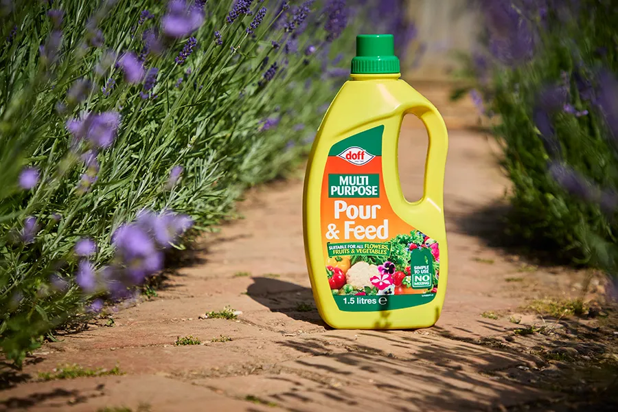 Doff Multi Purpose Pour & Feed flytande växtnäring