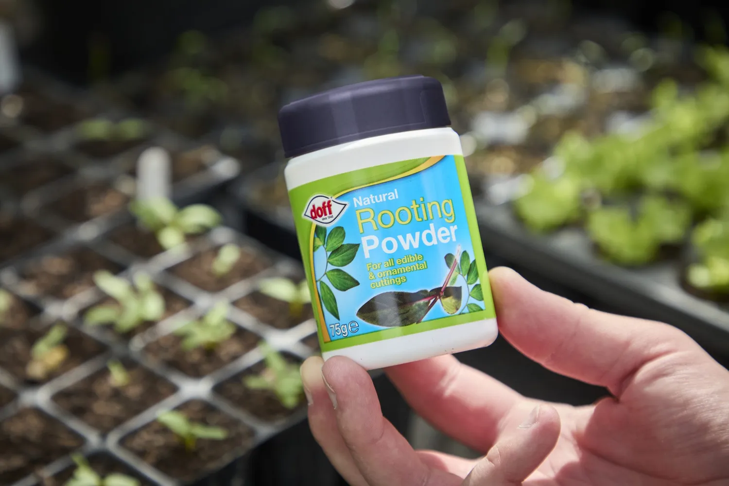 Doff Natural Rooting Powder rotningspulver sticklingar