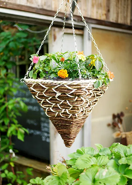 Doff Hanging Basket & Tub droppnäring 15 dagar