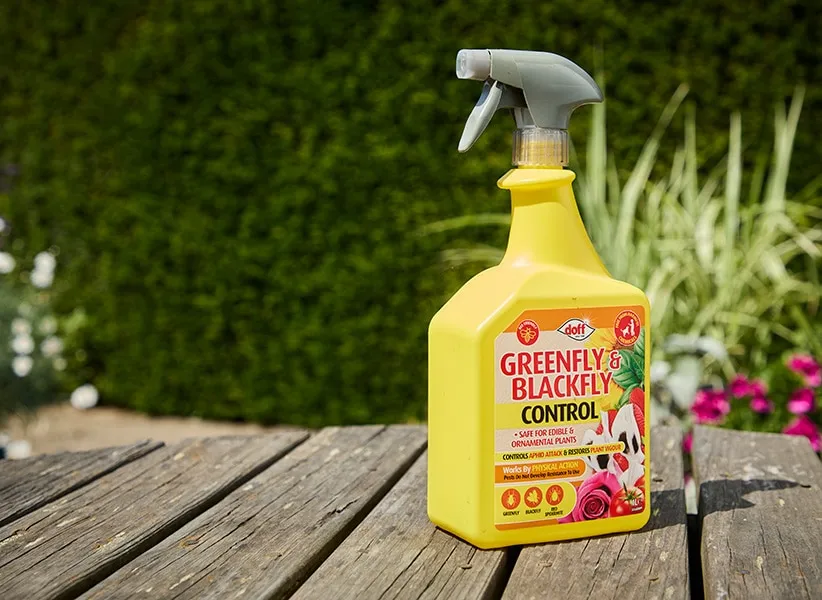 Doff Greenfly Blackfly bladlusspray mot bladlöss