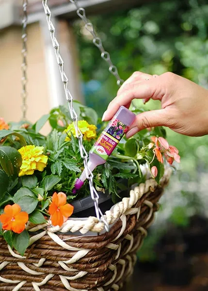 Doff Hanging Basket & Tub droppnäring 15 dagar
