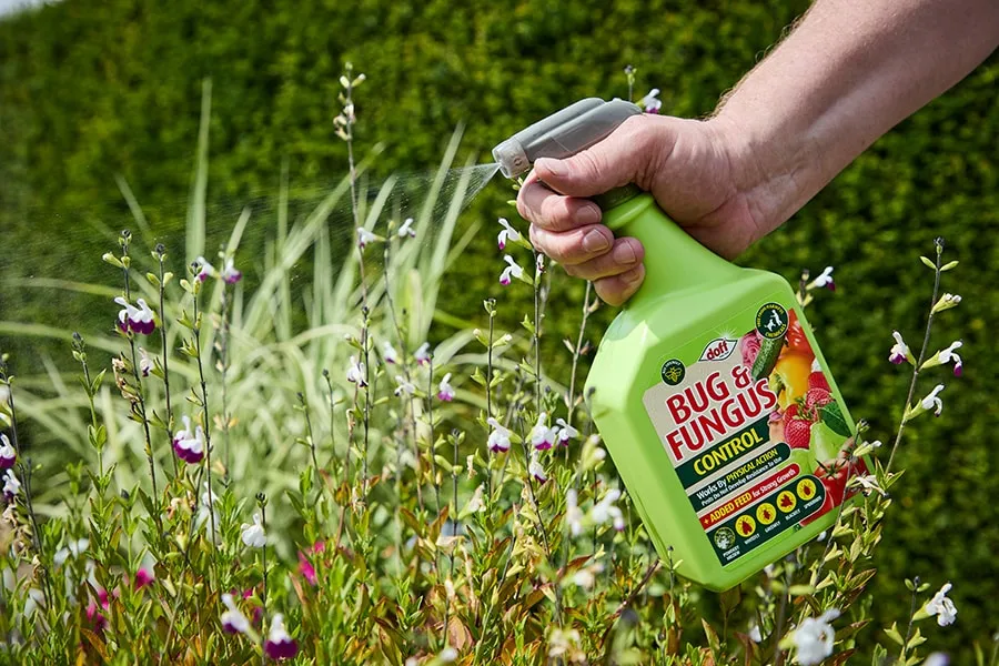 Doff Bug & Fungus Control växtspray ohyra