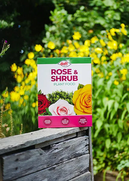 Doff Rose & Shrub rosgödsel NPK 4-2,5-2,3